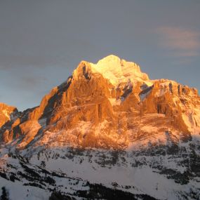 Bergrestaurant Grindelwald