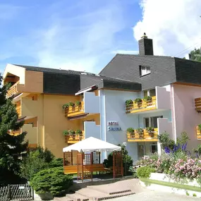 Hotel Mörel