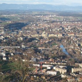 Treuhänder Liebefeld