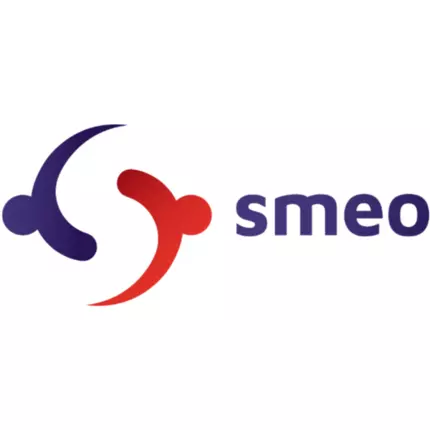 Logo from SMEO Selbstführung für Menschen in Organisationen GmbH