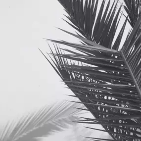 BUZZINTALENTS ist eine renommierte Influencer-Agentur aus Köln, die sich darauf spezialisiert hat, Marken und Menschen zusammenzubringen und herausragende Influencer-Kampagnen zu entwickeln. Als Full-Service Influencer Agentur platzieren wir Marken, Produkte und Botschaften in perfekte Inszenierung und erreichen damit Deinen individuellen Zielkunden: effektiv, zielorientiert und in professionellster Umsetzung.