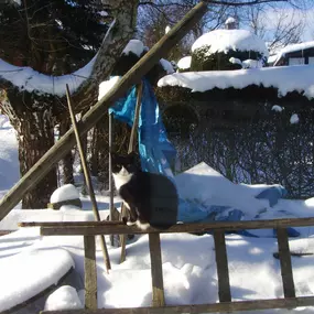 Bild von Gaststätte zum Holzbrunnen Catrin Seidel