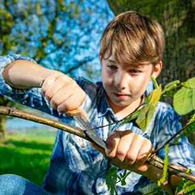 Bild von Weber's World