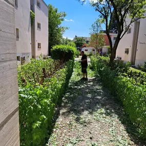 Bild von Tobler Gebäude und Gartenunter