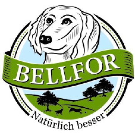 Logotipo de Bellfor