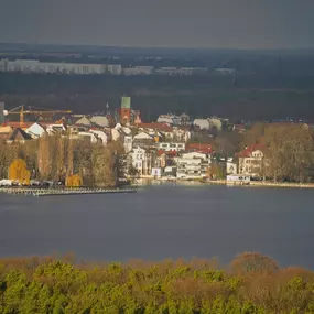 Bild von Wüstenrot Immobilien Mathias Bergmann