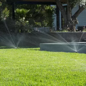 Bild von Schmuck Garten | Gartenbau, Schwimmteiche & Poolbau