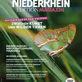 Bild von Die Kuh vom Eis GmbH
