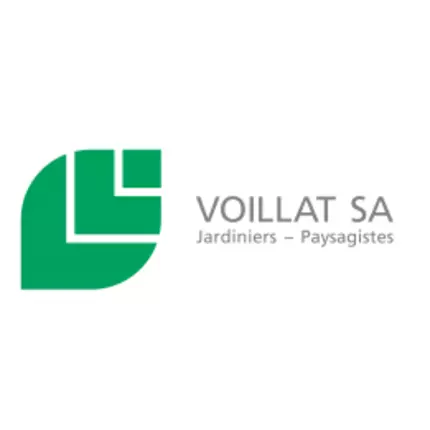 Logo from VOILLAT SA