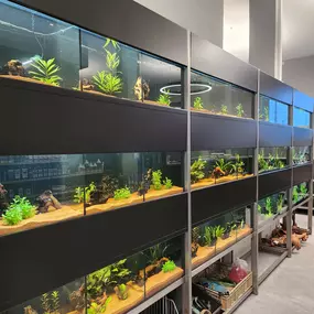 Bild von Aquarium Seerose, Zoofachgeschäft S. Leuch