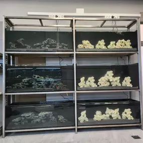 Bild von Aquarium Seerose, Zoofachgeschäft S. Leuch