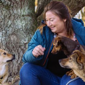 Bild von Altländer Hunde