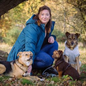 Bild von Altländer Hunde