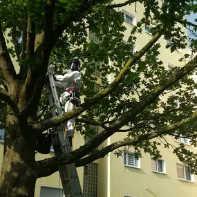 Bild von Burkhardt GmbH & Co. KG