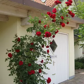 Bild von Hotel Heike garni