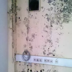 Bild von ABTEC ... der Abdichtprofi!