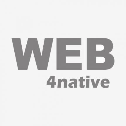 Logo da Web4native