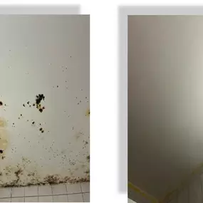 Bild von JLM peinture papiers peints nettoyages Sàrl