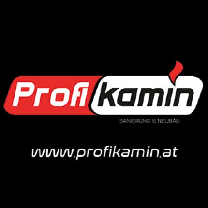 Logo van Profikamin Sanierung OG