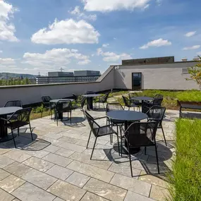 Courtyard and Rooftop Terrace