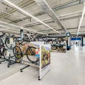 Bild von DECATHLON