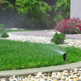 Bild von Schuler Planung Bewässerungstechnik