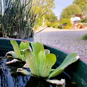 Bild von Fehmarn Inn GmbH