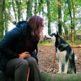 Bild von Hundezentrum Lapki mit Tagesbetreuung