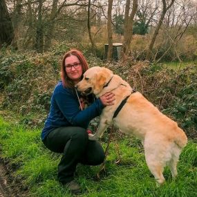 Bild von Hundezentrum Lapki mit Tagesbetreuung