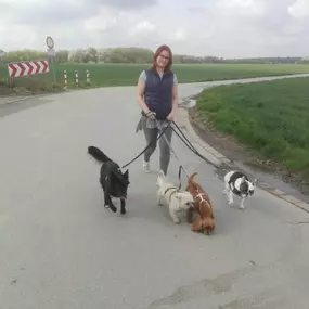 Bild von Hundezentrum Lapki