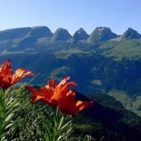 Bild von Gasthaus Zum Schäfli