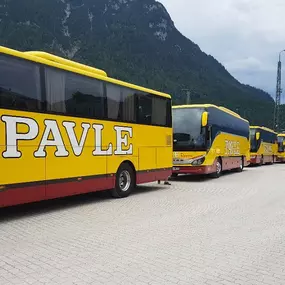 Bild von Pavle Reisen Omnibusunternehmen