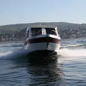 Bild von Motorboot-Fahrschule Beni Winiger | Zürichsee