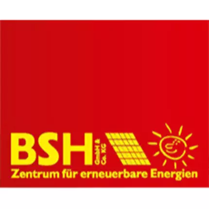 Logo fra Mark-Archie Lehmann - BSH Dresden