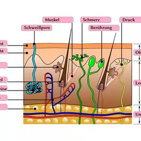 Bild von Kardelen  Kosmetik