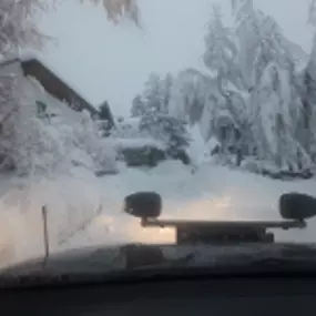 Bild von Tophome, Haus- und Gartenservice