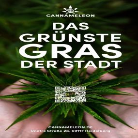 Bild von Cannameleon Gesundheits-Shop Heidelberg (CBD uvm.)