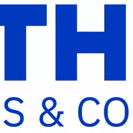 Logo from Althen GmbH Mess- und Sensortechnik