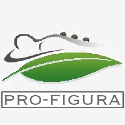 Logo van Pro-figura