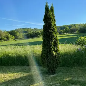 Bild von Ferienhaus am Heldrastein