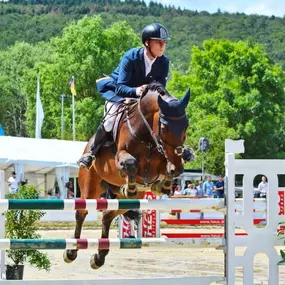 Moritz Schmiederer - DBV Deutsche Beamtenversicherung Martina Bürkel-Ziser in Freiburg im Breisgau