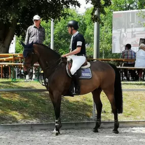 Moritz Schmiederer - DBV Deutsche Beamtenversicherung Martina Bürkel-Ziser in Freiburg im Breisgau