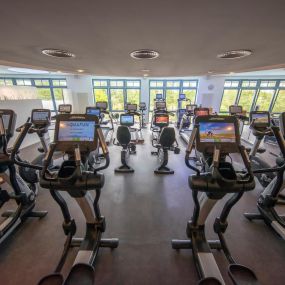 Cardiobereich im Fitness Fleesensee