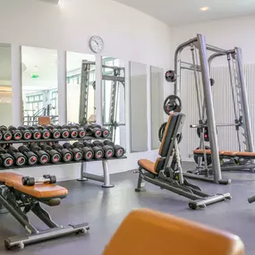 Trainingsbereich im Fitness Fleesensee