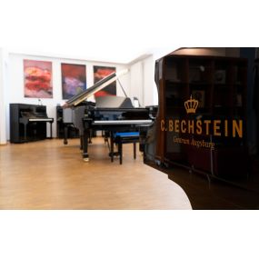 Auf vielen Bühnen sind unsere Instrumente bereits eingesetzt. Pianisten freuen sich mit unseren Instrumenten Ihnen ein vollkommendes Klangergebnis zu präsentieren. Achten Sie bei Ihrem nächsten Konzertbesuch auf einen Flügel aus dem Hause C. Bechstein.