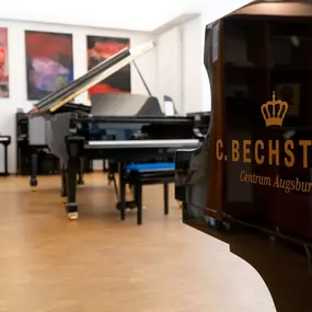 Auf vielen Bühnen sind unsere Instrumente bereits eingesetzt. Pianisten freuen sich mit unseren Instrumenten Ihnen ein vollkommendes Klangergebnis zu präsentieren. Achten Sie bei Ihrem nächsten Konzertbesuch auf einen Flügel aus dem Hause C. Bechstein.