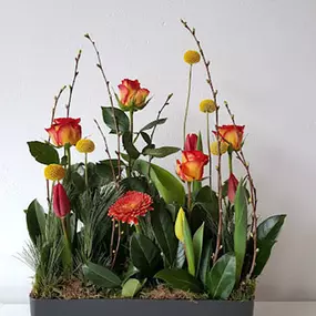 Bild von Blumen Steinhilber Weiden