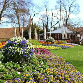 Bild von Restaurant und Eiscafé Rossini