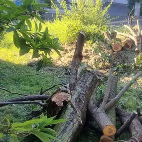 Bild von Eid Hausmeisterservice