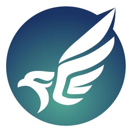 Logotipo de Falcon Cleaning